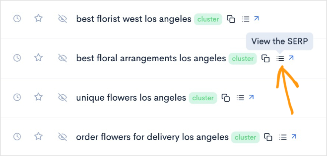 View the SERP button on a LowFruits report.