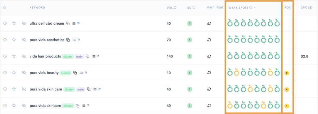 Google rankings with weak spots and the site's ranking positions.