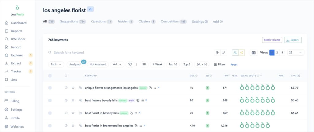 LowFruits keyword report example.