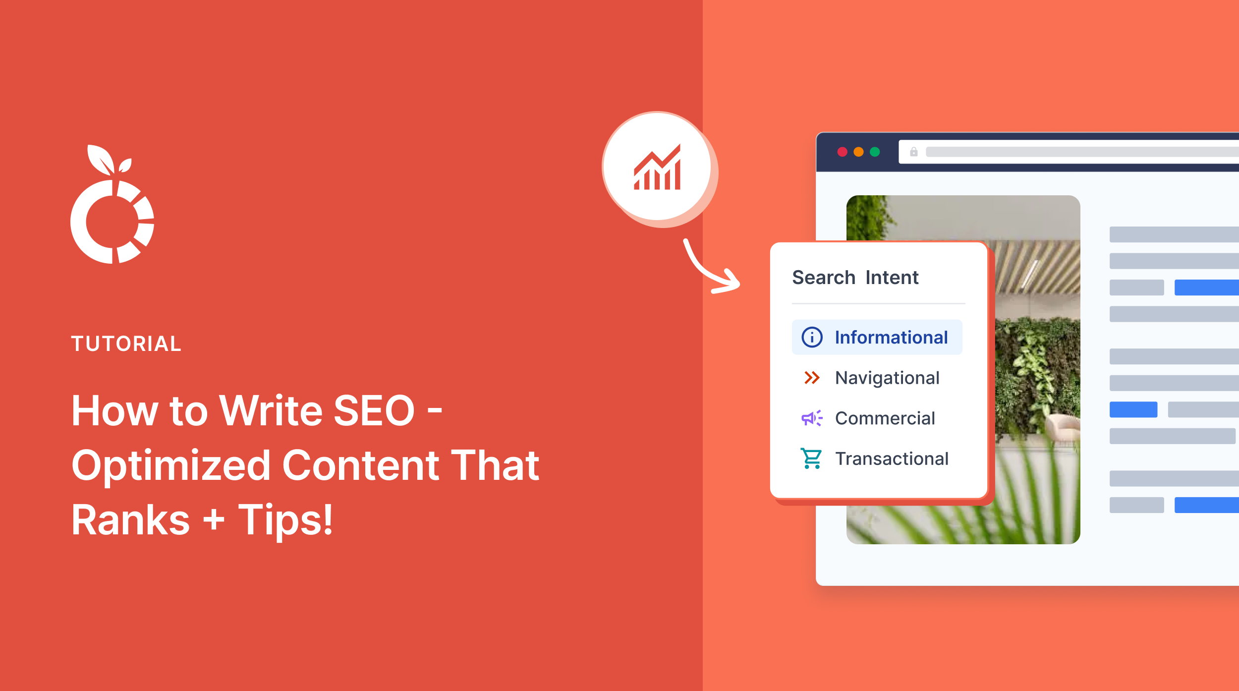 How to write optimized content that ranks.